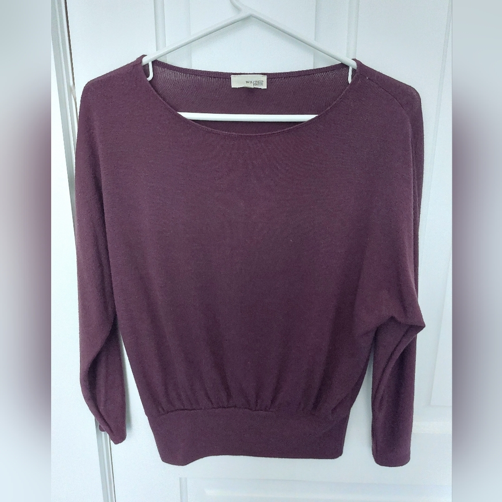 Aritzia XXS Top Wilfred